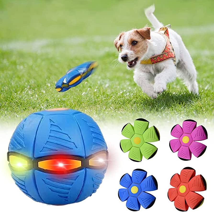 Bramble & Bark™ Dog Frisbee