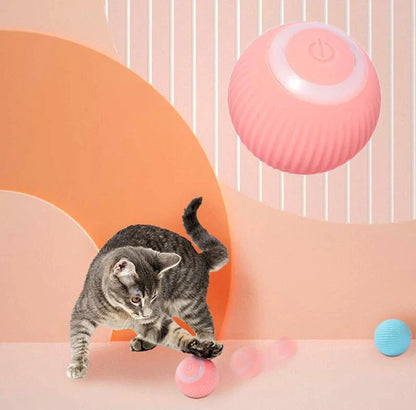 Bramble & Bark™ Cat Interactive Ball