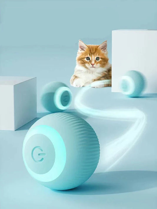 Bramble & Bark™ Cat Interactive Ball