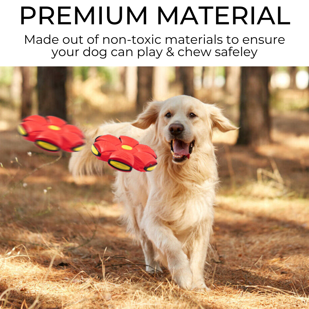 Bramble & Bark™ Dog Frisbee