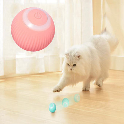 Bramble & Bark™ Cat Interactive Ball