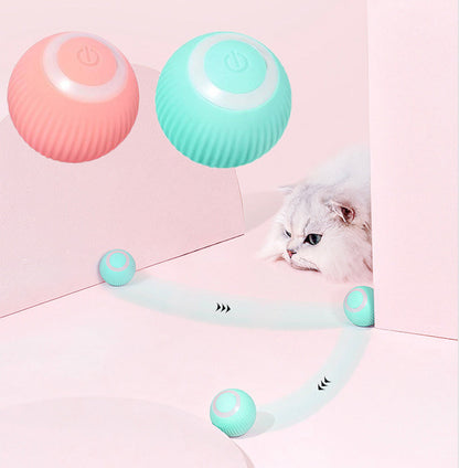 Bramble & Bark™ Cat Interactive Ball